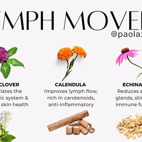 Lymph Flow, Plantain Leaves, Lymph Fluid, Lymph Drainage, Staying Active, Herbal Healing, Natural Detox, Massage Techniques, Immune Support