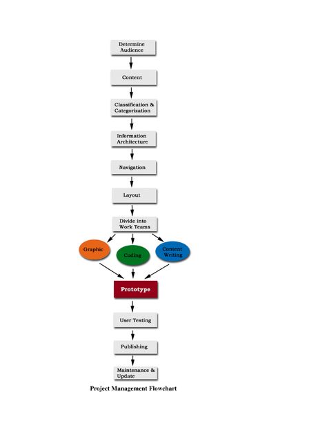 How to make a professional Project Management Flow Chart? Download this Project Management Flow Chart template now! Flowchart Ideas, Chart Layout, Ideas For Project, Flow Chart Template, User Testing, Writing Code, Project Management Templates, Chart Template, Information Architecture