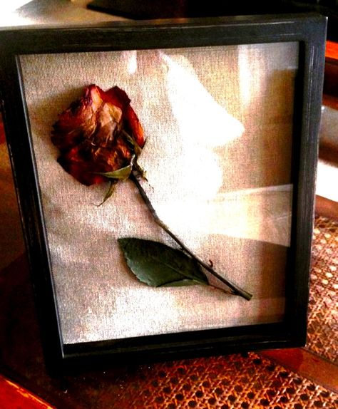 Rose Frame Diy, Dried Rose Picture Frame, Dried Roses Ideas Diy, Pressed Roses Framed, Press Dry Flowers, Pressed Flower Art Picture Frames, Diy Pressed Flower Art, Flowers In A Frame, Diy Dried Flowers