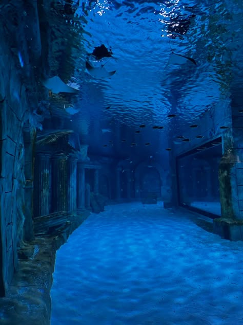 Underwater Building, Water Shrine, Underwater Dark, Aquarium Building, Barbie In A Mermaid Tale, Blue Aquarium, Star Room, Environment Inspiration, Bawah Air