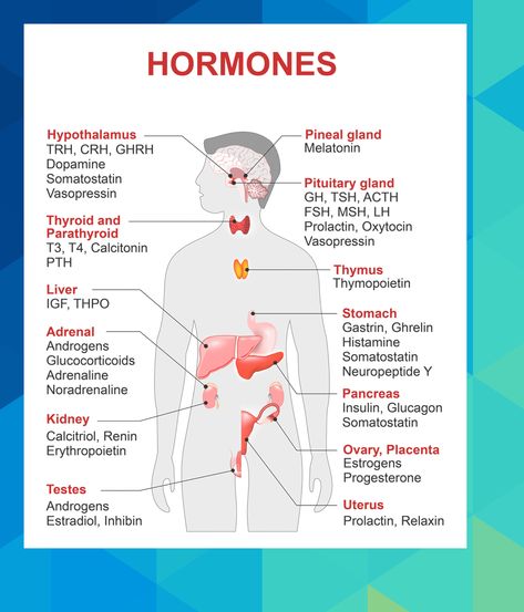 Function of the adrenal glands #jerrod21204 Adrenal Gland Hormones, Pituitary Gland Tumor, Addisons Disease, Teaching Chemistry, Medical Student Study, Nursing School Survival, Dialectical Behavior Therapy, Pituitary Gland, Human Body Anatomy