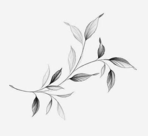 Blatt Tattoos, Arte Ganesha, Olive Branch Tattoo, Animal Tattoo Ideas, Branch Tattoo, Vine Tattoos, Plant Tattoo, Cute Tiny Tattoos, Botanical Tattoo