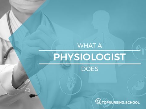 What a Physiologist Does Physiologist Job Aesthetic, Exercise Physiology Aesthetic, Physiologist Aesthetic, Physiology Aesthetic, Human And Animal, Exercise Physiology, Medical School, School Stuff, Fun Learning