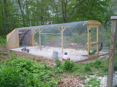 Peacock Coop, Duck Coop, Cattle Panels, Portable Chicken Coop, Chicken Pen, Coop Design, Chicken Coop Designs, Bird Aviary, Building A Chicken Coop