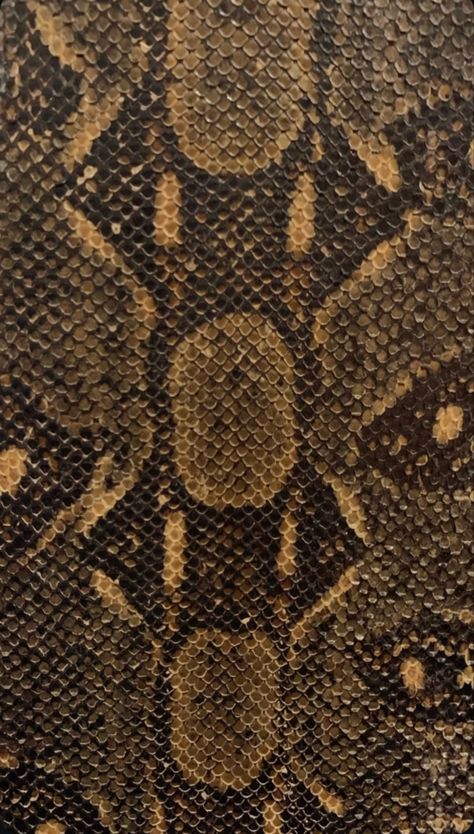 Snake skin wallpaper 🐍📱 #snake #wallpaper Snake Skin Wallpaper, Skin Wallpaper, Snake Wallpaper, Fashion Nature, Snake Skin Pattern, Hippie Wallpaper, Year 3, Snake Print, Textured Background