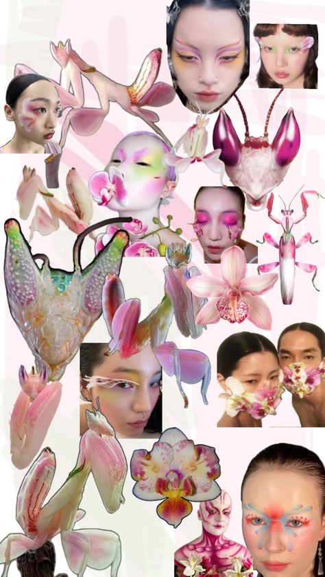 Orchid mantis mask inspiration Orchid Mantis Aesthetic, Mantis Aesthetic, Costume Fleur, Mask Inspiration, Orchid Mantis, Bug Costume, Flower Costume, Makeup Portfolio, Diy Tops