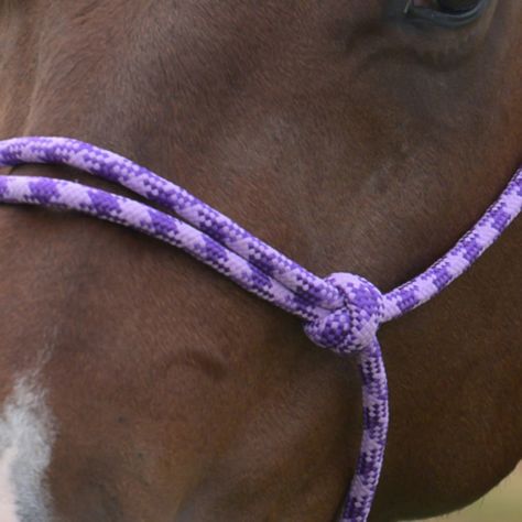 Professional's Choice Equissential Rope Halter Attached 8ft Lead Rope Assorted Colors: Black, Red, Lime, Purple, Wine, Turquoise, Emerald Product Number: EQHR The Professional’s Choice Equissential Rope Halter is designed for comfort, durability, and effective communication with your horse. Made from high-quality, tightly woven rope, this halter provides just the right amount of pressure for clear cues without discomfort. Rope Halter, Lead Rope, Purple Wine, Effective Communication, Professions, Black Red, Communication, Emerald, Black And Red