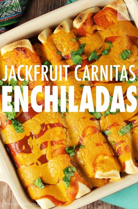 Jackfruit Carnitas Enchiladas — Fried Dandelions — Plant Based Recipes Carnitas Enchiladas, Jackfruit Carnitas, Jack Fruit, Jackfruit Recipes, Vegan Mexican Recipes, Vegan Main Dishes, Vegan Foods, Vegan Dinner Recipes, Vegan Eating