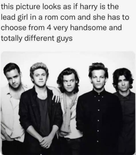 One Direction Memes Hilarious, One Direction Jokes, Harry Styles Memes, 1d Funny, One Direction Wallpaper, Direction Quotes, Midnight Memories, One Direction Quotes, One Direction Harry Styles