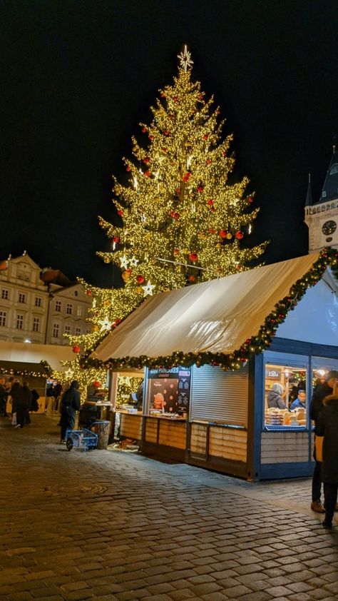 Famous Christmas market in prague with huge tree and festivals selling goods Christmas Abroad, Prague Christmas Market, Trip Vision Board, Prague Itinerary, Christmas Aesthetic Winter, Prague Winter, Prague Christmas, Winter In Europe, Europe Christmas