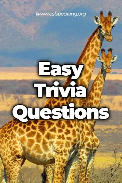 Check out the top 50 easy trivia questions for kids. Our fun trivia questions are about animals, sports, food, science, and geography. #trivia #triviaquestions #triviaforkids #questionsforkids #esl 1st Grade Trivia Questions, Quiz Questions And Answers For Kids, Trivia For Kids With Answers, Sports Trivia Questions And Answers, Kids Trivia Questions, Animal Trivia Questions And Answers, Trivia For Kids, Animal Trivia, Trivia Quiz Questions