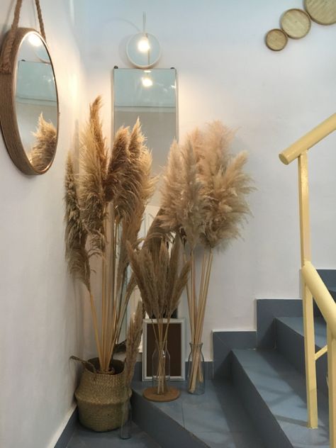 Pompass Grass Wall Decoration, Salon Waiting Area, Son Bahar, Vase Decorations, Salon Suites Decor, Pampas Grass Decor, Wall Shelves Design, Bohemian Bedroom Decor, Bedroom Bed Design