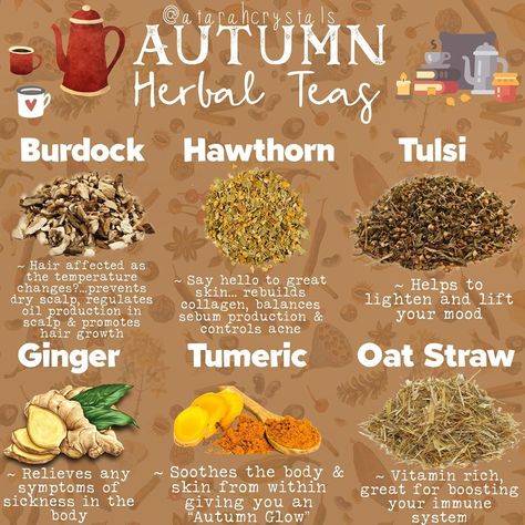 Mabon Tea Blend, Samhain Tea Recipe, Fall Tea Blends, Fall Tea Aesthetic, Autumn Tea Recipe, Fall Tea Recipes, Samhain Tea, Autumn Witchcraft, Autumn Herbs