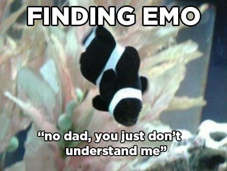 Nemo Memes, Die For You, Touch Meme, Finding Emo, Emo Nemo, Emo Meme, Humor Disney, That's Hilarious, 9gag Funny