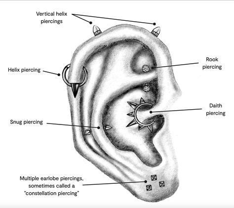 Anti Helix Piercing, Ear Anatomy, Snug Piercing, Ear Piercings Chart, Piercing Chart, Basic Jewelry, Make Up Your Mind, Body Modifications, Helix Piercing