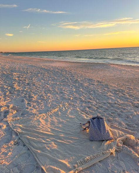 a florida winter 🤍❄️ Florida Winter, Florida, Instagram