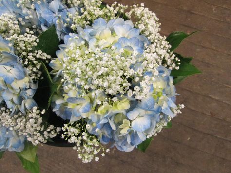 Simple bridesmaid bouquets with blue hydrangea and babies breath. Simple Bridesmaid Bouquets, Blue Wedding Bouquet, Blue Hydrangeas, Babies Breath, Bridesmaid Bouquets, Green Hydrangea, White Hydrangea, White Bouquet, Blue Hydrangea