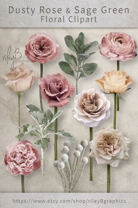 Sage And Rose Bouquet, Sage Green And Blush Backdrop, Dusty Rose And Ivory Wedding Theme, Dusty Rose Sage Green And Grey Wedding, Rose And Sage Green Wedding, Dusty Rose And Sage Green Wedding Theme Flowers, Dusty Rose And Sage Green Wedding Centerpieces, Wedding Decor Dusty Rose, Dusty Pink Floral Arrangements