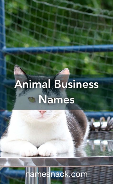 Pet Business Name Ideas, Dog Business Names, Cat Daycare, Pet Services Business, Daycare Names, Pet Remedies, Business Cat, Cat Food Brands, Free Logos