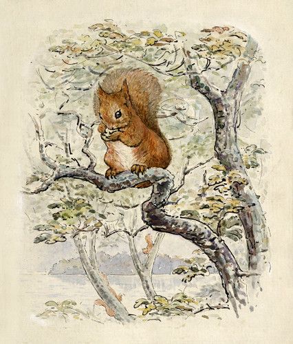 Tales Of Beatrix Potter, Squirrel Nutkin, Beatrix Potter Illustrations, Beatrice Potter, Beatrix Potter Books, Peter Rabbit And Friends, Storybook Art, Potter Art, Red Squirrel