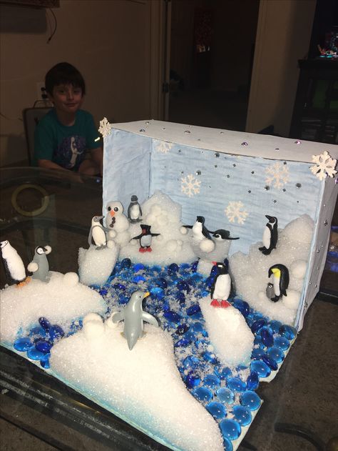 Penguin habitat diorama Penguin Habitat Project, Artic Diorama For Kids, Penguin Habitat Shoebox Project, Biome Shoebox Project, Artic Habitat Project For Kids, Artic Diorama, Antarctica Crafts, Penguin Diorama, Tundra Project