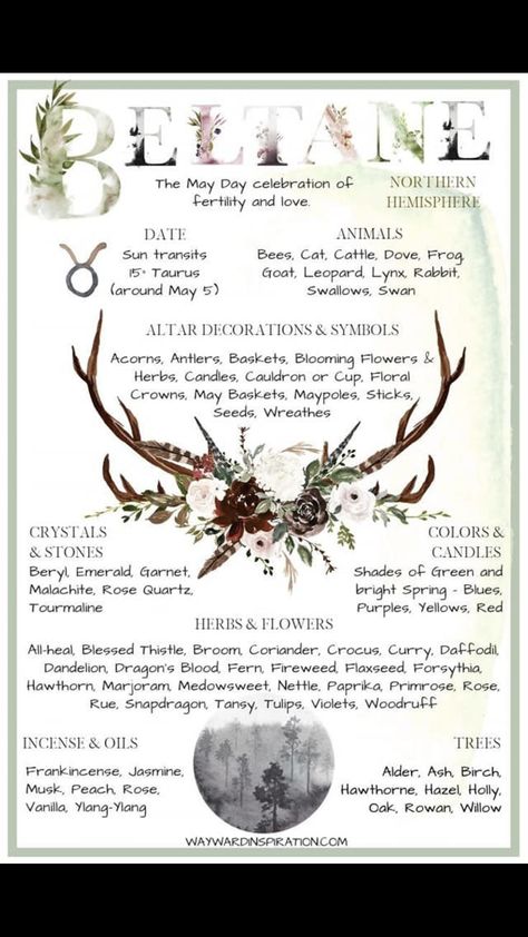 Wicca Holidays, Wiccan Sabbats, Magia Das Ervas, Wicca Witchcraft, Baby Witch, Modern Witch, Beltane, Green Witch, Samhain