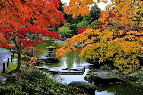 Seattle Japanese Garden, Japanese Park, Seattle Pictures, Things To Do In Seattle, The Emerald City, Seattle City, Washington Park, Landscape Elements, City Road