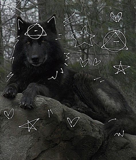 Black Wolf Therian, Therian Crafts, Therian Wolf, Therian Aesthetic, Winged Wolf, Therian Pfp, Therian Art, Wolf Therian, Therian Quadrobics