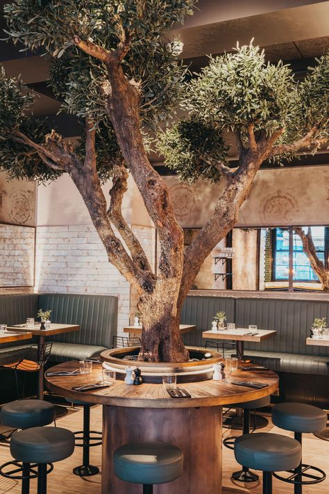 This bonsai style bespoke olive tree was exactly what this restaurant required! Small Restaurant Ideas, Car Showroom Interior, Restaurant Table Design, Pub Interior Design, Tree Restaurant, Outdoor Restaurant Design, Italian Cafe, Restaurant Seating, Bonsai Styles