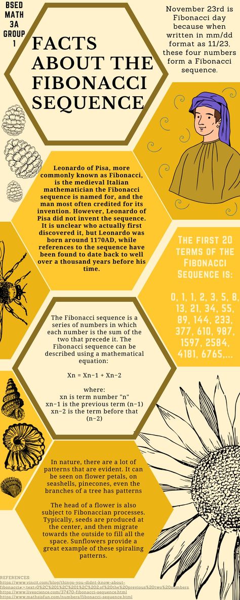 Infographics Fibbonaci Sequence Nature, Fibinocci Sequence, Fibonacci Sequence In Nature, Leonardo Fibonacci, Fibonacci Number, Artistic Composition, Math Lab, Geometry In Nature, Curious Facts