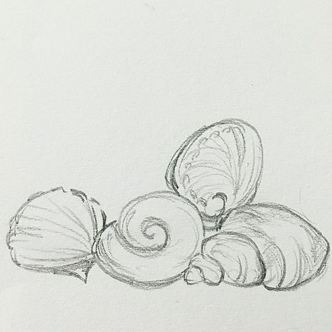 Easy Detailed Sketch, Seahours Drawing, Mermaid Core Drawing, Sea Creatures Sketch Drawings, Sea Art Aesthetic, Sketchbook Ideas Ocean, Ocean Related Drawings, Ocean Drawings Aesthetic, Cute Sketchbook Drawings