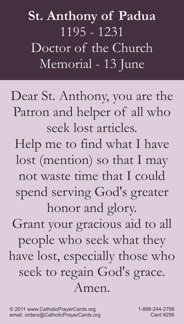 St Anthony Prayer Lost, St Anthony Prayer, St Anthony Of Padua, Anthony Of Padua, Lost Things, Saint Anthony Of Padua, Novena Prayers, Mission Work, St Therese Of Lisieux