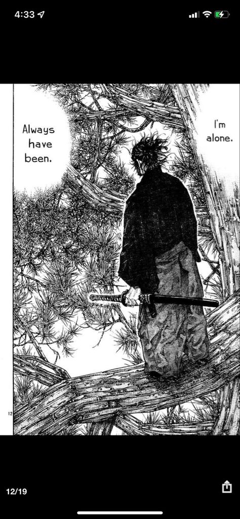 Boichi Manga, Miyamoto Musashi Art, Inoue Takehiko, Vagabond Manga, Samurai Artwork, Miyamoto Musashi, Samurai Art, Manga Panels, Good Manga