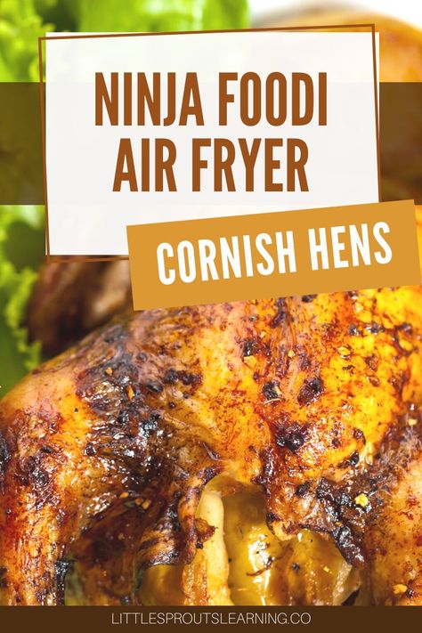 Cornish Hen Recipe Air Fryer, Air Fryer Cornish Hen Recipe, Cornish Hen Recipe, Cornish Hen, Air Fryer Cooking Times, Healthy Toddler Snacks, Cornish Hens, Hen House, Ninja Foodi