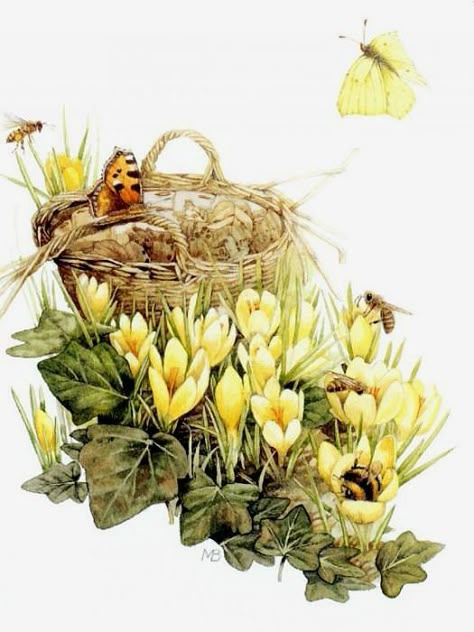 (525x700, 81Kb) Marjolein Bastin Art, Nature Sketch, Marjolein Bastin, Nature Artists, Bastille, Mellow Yellow, Botanical Illustration, Botanical Art, Botanical Prints