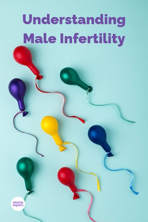 Male infertility is complicated, because there are so many different possible causes. The good news is that many couples who experience male infertility issues are still able to conceive. Men Fertility, Fertility Boosters, Fertility Supplements, Fertility Testing, Fertility Problems, Fertility Health, Male Fertility, Fertility Boost, Menstrual Health