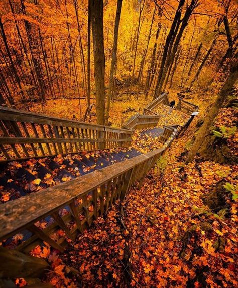 Mono Cliffs Provincial Park, Toronto, Canada - 9GAG Ontario Road Trip, Ontario Travel, Canada Photos, Fall Hiking, Autumn Scenery, I Love Fall, Autumn Beauty, Halloween Cookies, Love Fall