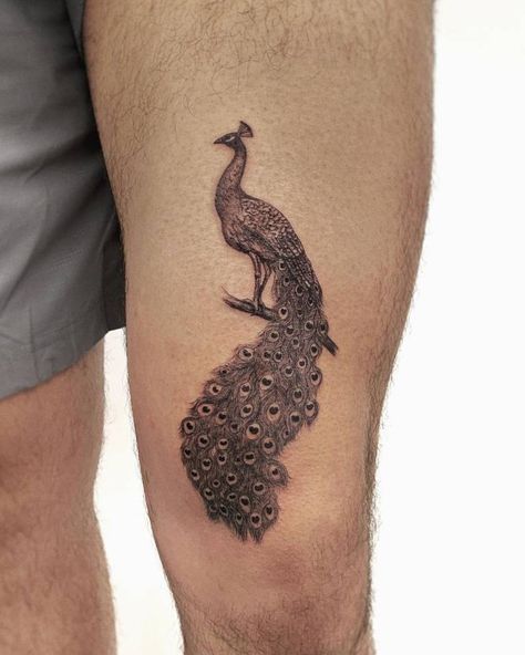 Peacock Tattoo Men, Ny Tattoo, Tattoos Pretty, African Tattoo, Peacock Tattoo, Water Tattoo, Florida Artist, Fine Line Tattoo, Spiritual Tattoos