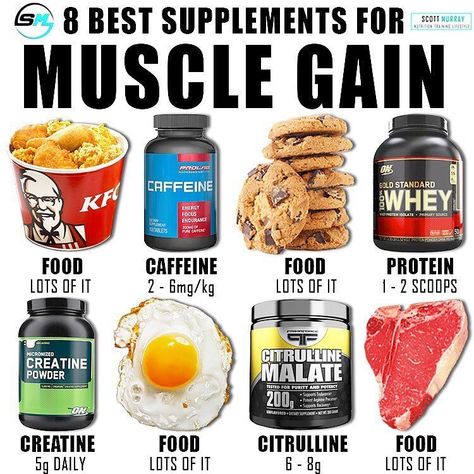 Muscle Gain Diet, Focus Foods, Food To Gain Muscle, Muscle Diet, Weight Gain Supplements, Muscle Building Foods, Muscle Building Supplements, Low Carb Snack, Bodybuilding Diet