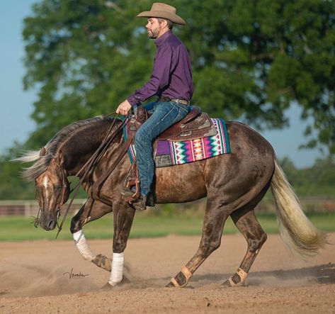 Quater Horses, Reining Horses Photography, Horse Disciplines, Reining Cow Horse, Working Cow Horse, Western Horsemanship, Horse Reining, Aqha Horses, Western Pleasure Horse Photography