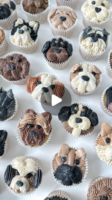 Cupcakes Dog Theme, French Bulldog Cupcakes, Dog Cupcakes For Kids, Dog Cupcakes Decoration, Dog Face Cupcakes, Dog Themed Cupcakes, Baby Shower Cupcakes For Boy, Pup Treats, Dog Cupcakes