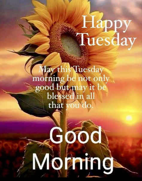 Good Morning Happy Tuesday Blessings, Tuesday Blessings Mornings, Happy Tuesday Blessings, Good Morning Tuesday Blessings, Tuesday Morning Wishes, Tuesday Wishes, Happy Tuesday Pictures, Good Morning Happy Tuesday, Happy Tuesday Images