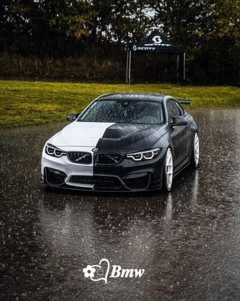 Vinyl Wrap Colors, Bmw Wallpaper, Photo To Cartoon Photoshop, Bmw White, Sports Car Wallpaper, Bmw Wallpapers, Car Bmw, Audi Rs6, Bmw Models