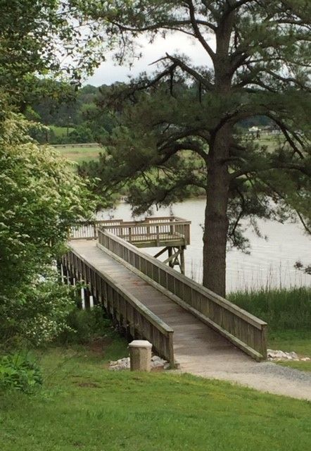 Fishing Pier Fishing Dock Aesthetic, River Deck Design, Fishing Piers Ideas, Fishing Pier, Tennessee State Parks, Fishing Dock, Riverside Park, Fish Ponds, River House