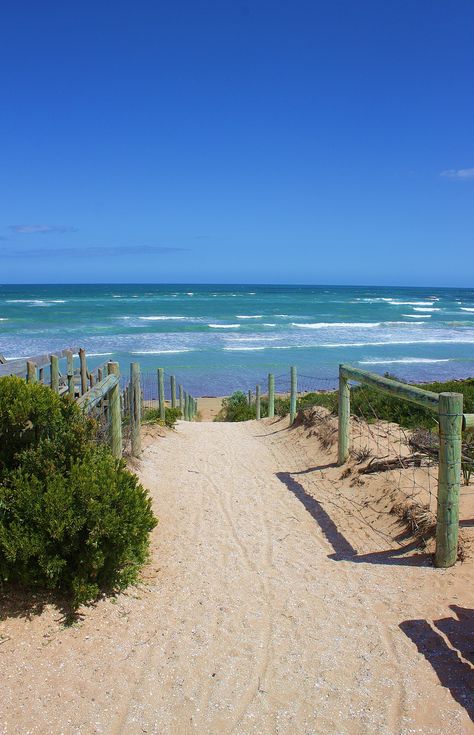 the path that leads down to Ocean Grove beach (Victoria, Australia) Australia Beach, Ocean Grove, Ocean Shores, Pawleys Island, Holiday Places, Instagram Time, Melbourne Victoria, Rock Pools, Beach Hut