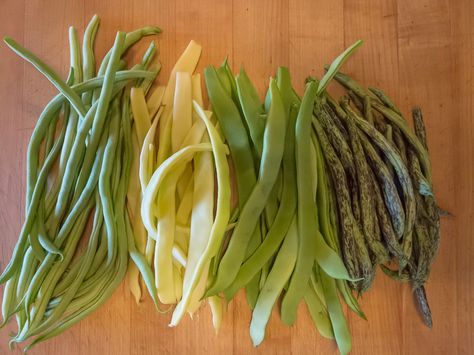 Pole Bean Recipes – Lopez Island Kitchen Gardens Harvest Vegetables, Vegetable Bin, Kitchen Gardens, Garden Problems, Lopez Island, Mom Recipes, Green Bean Salads, Runner Beans, Pole Beans