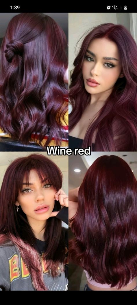 Burgundy Hair With Green Eyes, Different Types Of Hair Colors, Prune Hair Color, Red Hair Color On Brown Hair, Blonde Face Framing Highlights Red Hair, Deep Winter Olive Skin, Hair Color Ideas Fair Skin, Moonlight Hair Color, 5rv Hair Color