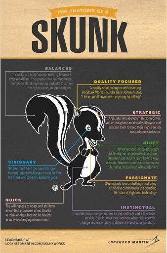 Anatomy of Skunks works. . Skunk Works, Party Stations, Sr 71 Blackbird, Systems Thinking, Sr 71, Airplane Design, Military Heroes, Aviation Art, Fighter Planes