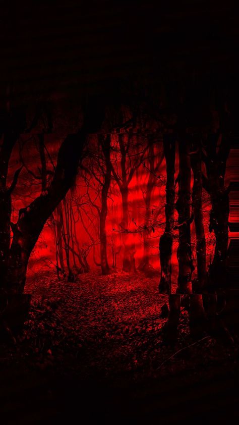 Horror Background Aesthetic, Scary Lockscreen, Red Live Wallpaper, Spooky Lockscreen Aesthetic, Red And Black Background, Red Video, Creepy Backgrounds, Red Roses Wallpaper, Image Halloween