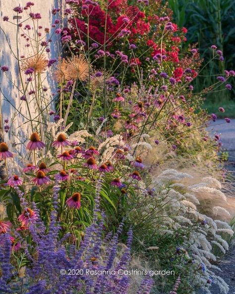 Garden Planning | Updates from the small dry border... 📸: @rosannacastrinigardens . . . . . . . . . . . . . . . . . . . . . . . . . . . #inmygardentoday… | Instagram Prairie Garden, Dry Garden, Gravel Garden, Have Inspiration, Mediterranean Garden, Native Garden, Garden Landscape Design, Garden Borders, Perennial Garden